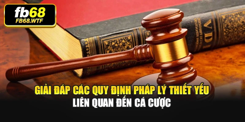 Giải đáp các quy định pháp lý thiết yếu liên quan đến cá cược