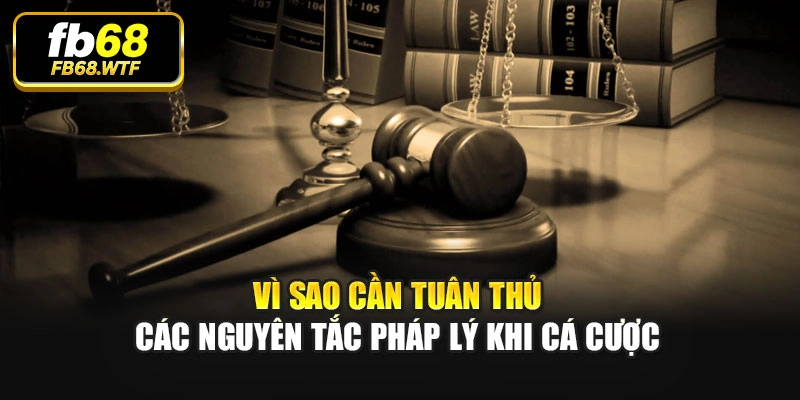 Vì sao cần tuân thủ các nguyên tắc pháp lý khi cá cược